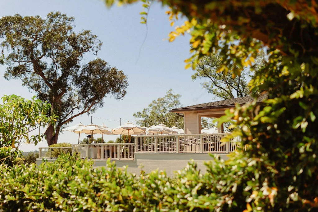 Santa Barbara coastal recovery setting